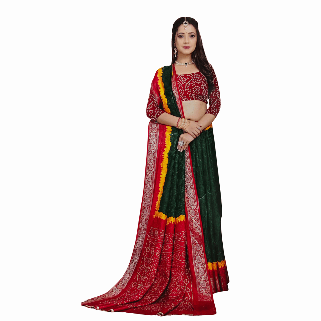 Darbari Saree DS 31 - Darbari Collection
