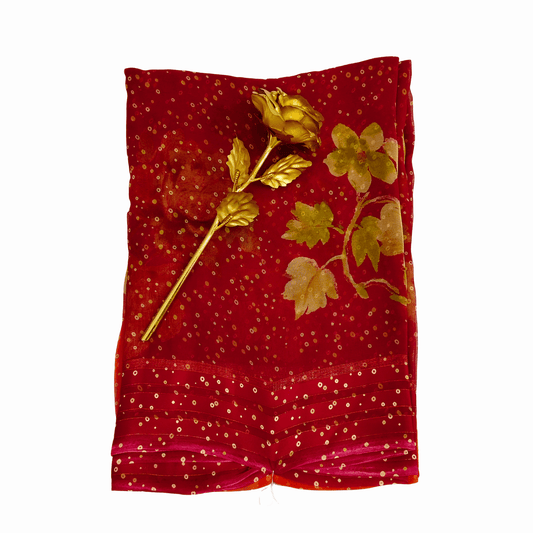 Darbari Saree DS 49 - Darbari Collection