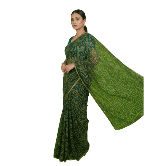 Darbari Saree DS02 - Darbari Collection