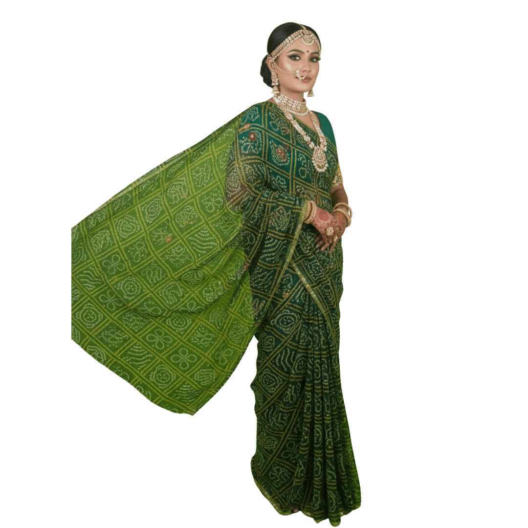 Darbari Saree DS02 - Darbari Collection
