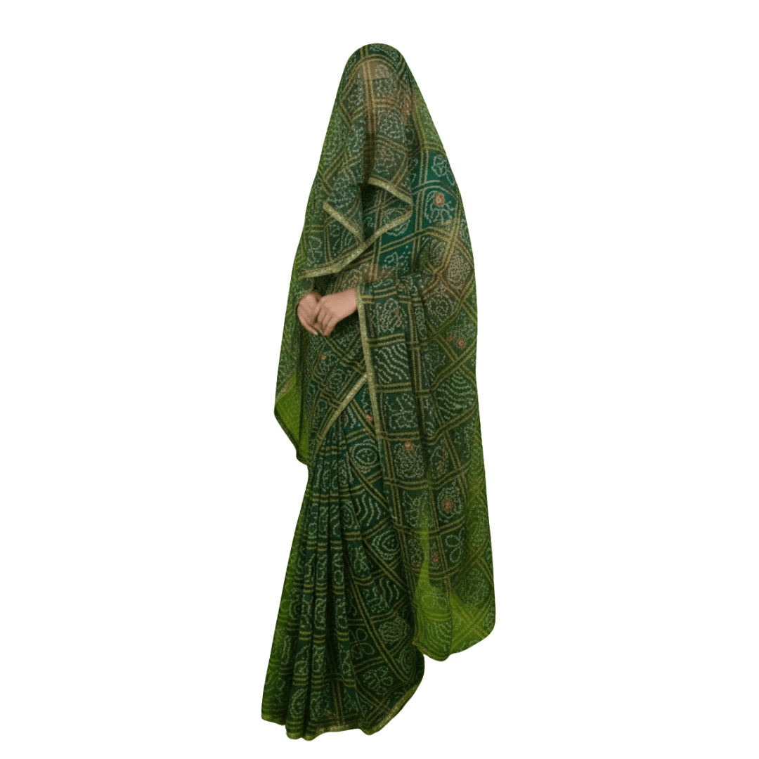 Darbari Saree DS02 - Darbari Collection