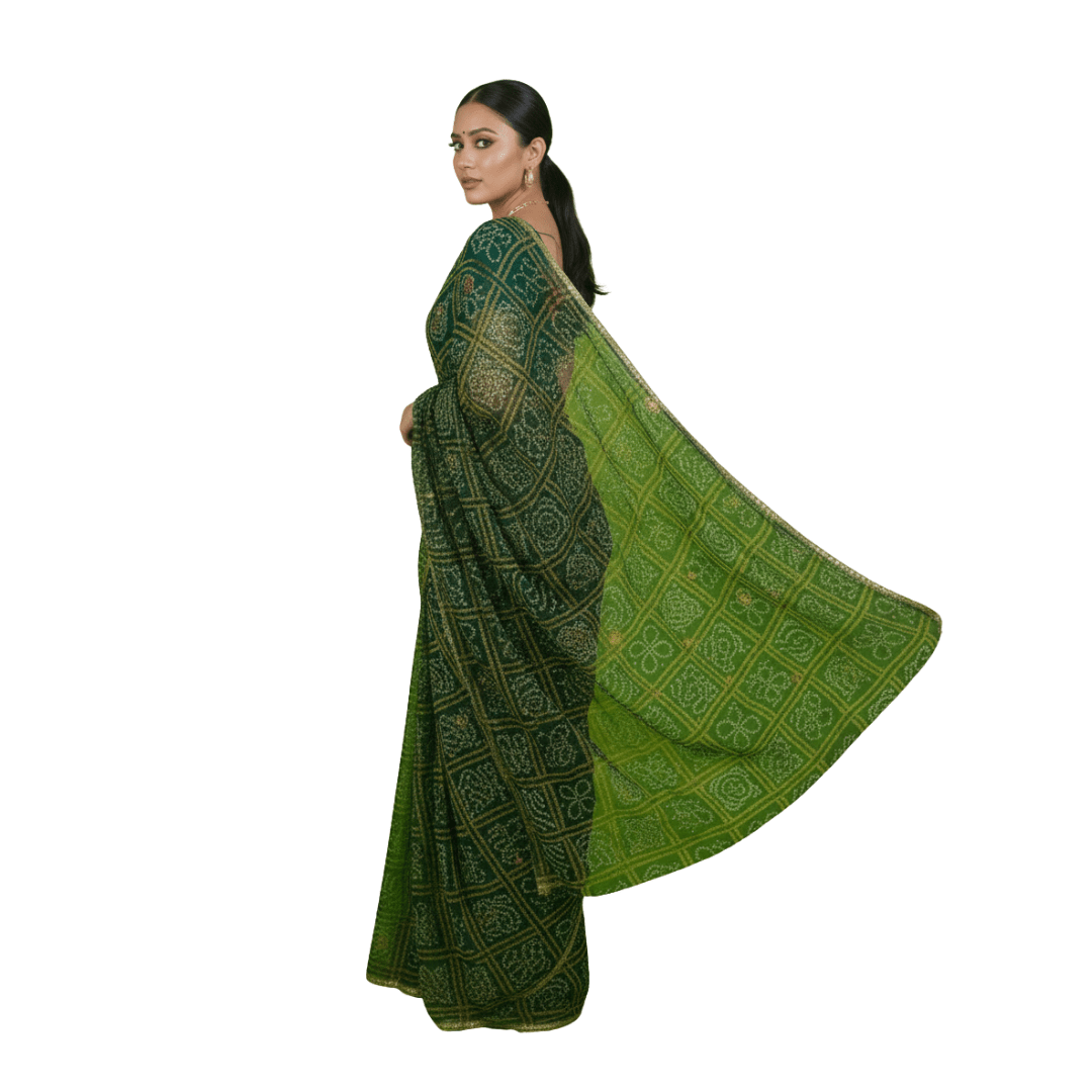 Darbari Saree DS02 - Darbari Collection