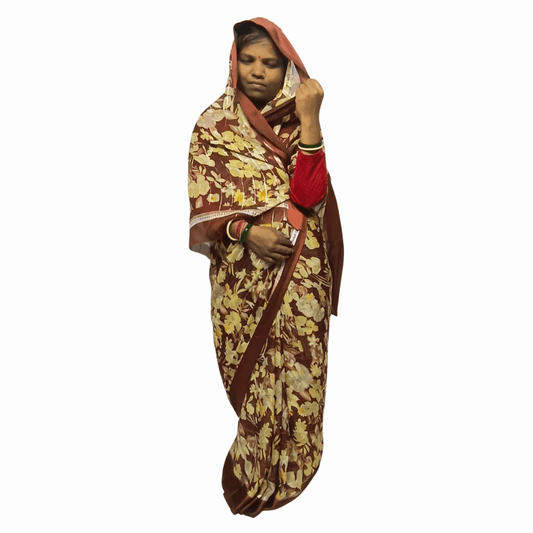 Darbari Saree DS02 - Darbari Collection