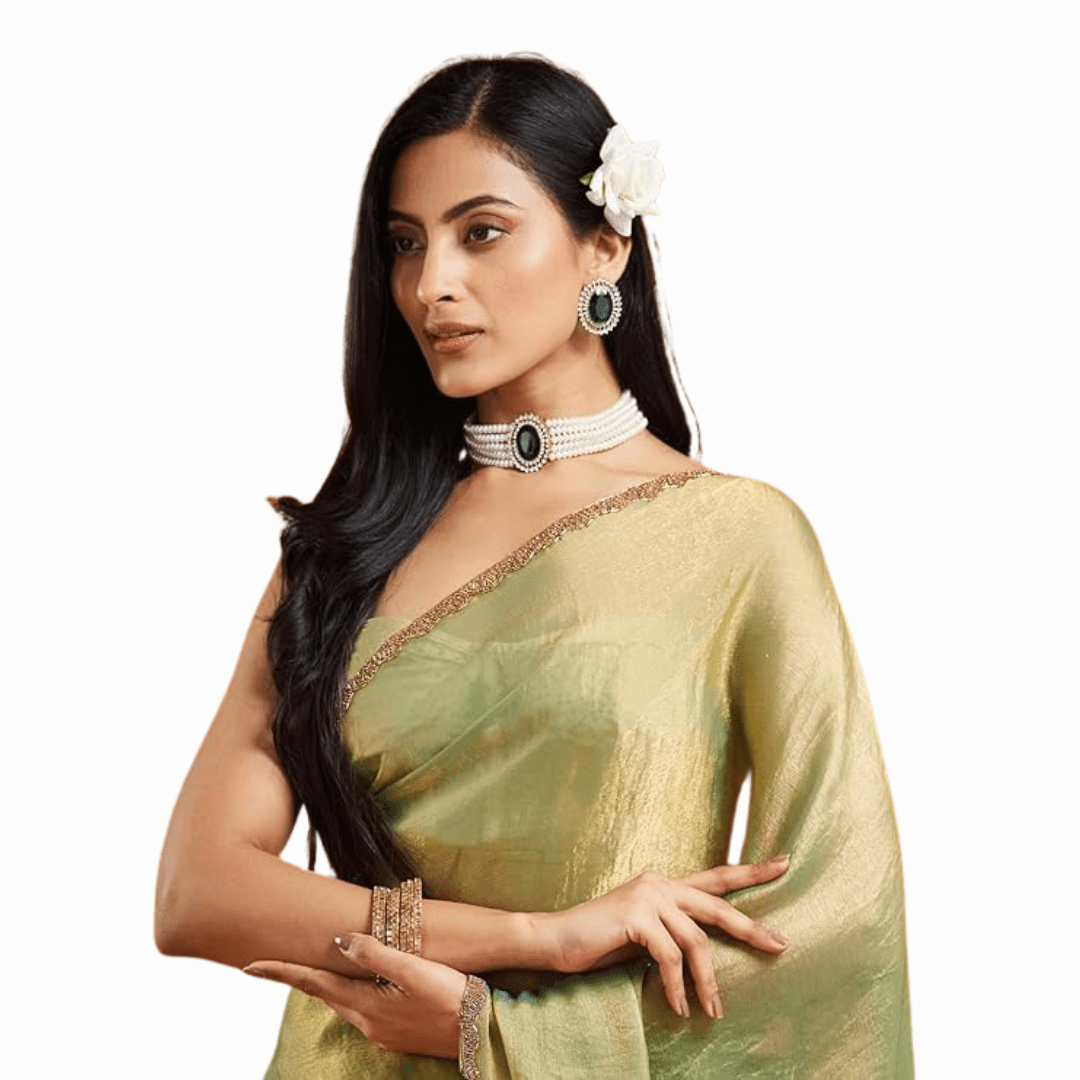 Darbari Saree DS56 - Darbari Collection