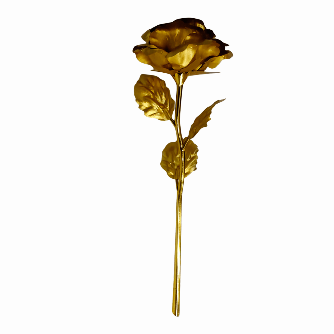 General Trending Products GT03 - Darbari Collection